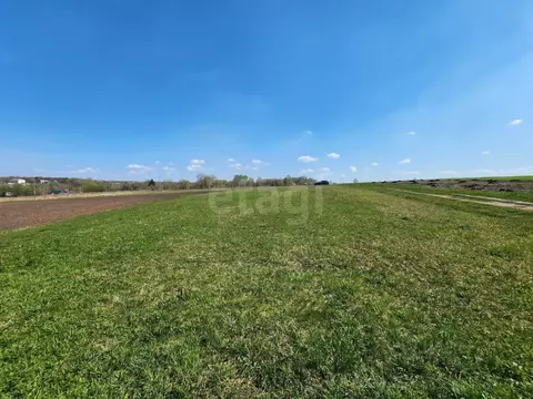 Участок в Брянская область, Выгоничский район, Кокинское с/пос, д. ...