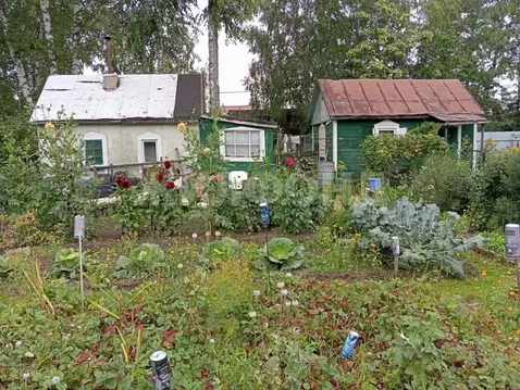 Дом в Новосибирская область, Новосибирск  (20 м)