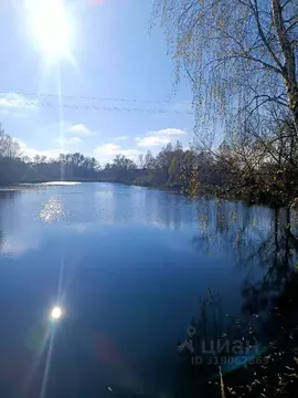 Участок в Калужская область, Ферзиковский район, Ястребовка с/пос, д. ...