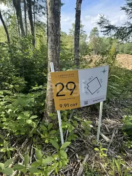 Участок в Ленинградская область, Приозерский район, Сосновское с/пос, ...