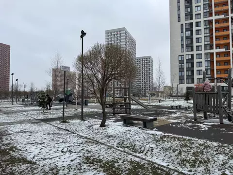 Студия Московская область, Одинцово ул. Каштановая, 10 (29.5 м)
