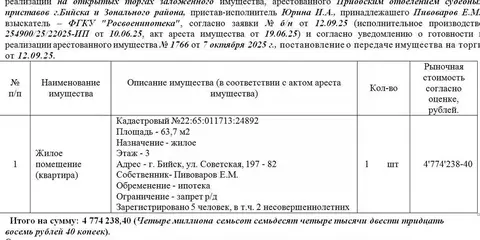 Свободной планировки кв. Алтайский край, Бийск Советская ул., 197 ...
