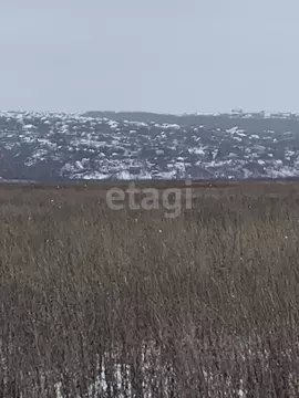 Участок в Белгородская область, Белгородский район, Головинское с/пос, ...