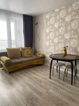 Студия Тюменская область, Тюмень ул. Василия Малкова, 10 (30.0 м)