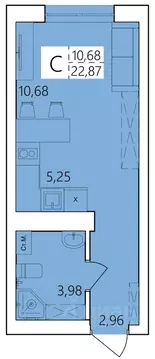 Студия Башкортостан, Уфа ул. Пожарского, 237 (22.87 м)