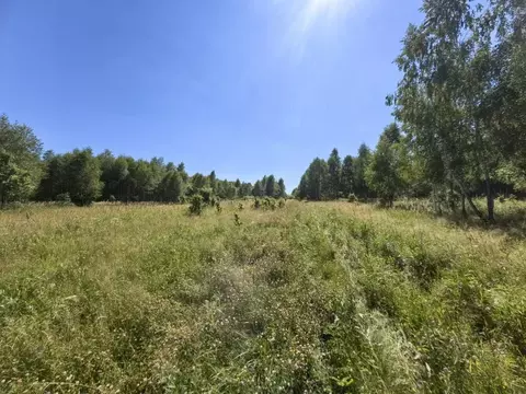 Участок в Тульская область, Заокский район, Страховское муниципальное ...