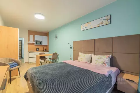 Студия Санкт-Петербург Варфоломеевская ул., 6 (25.0 м)