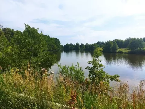 Участок в Тульская область, Ясногорский район, Теляковское с/пос, д. ...