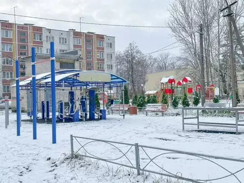 2-к кв. Ленинградская область, Лужский район, Толмачево городской ...