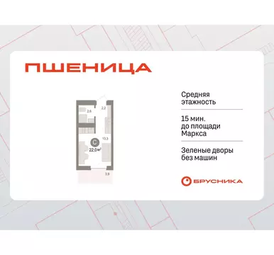 Квартира-студия: Новосибирский район, рабочий посёлок Краснообск, ...