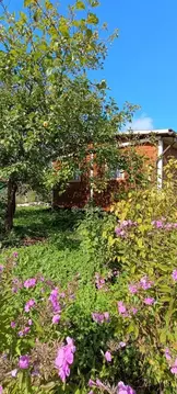 Дом в Ленинградская область, Гатчинский муниципальный округ, Чаща ...