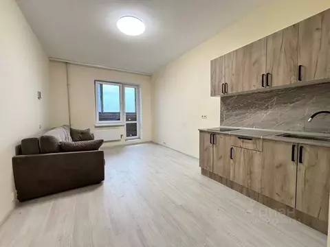 Студия Московская область, Ногинск Богородский городской округ, ул. ...