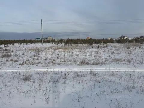Участок в Тюменская область, Тюменский муниципальный округ, с. Борки  ...