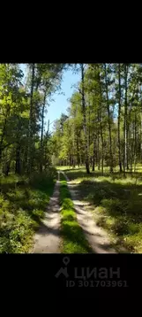 Участок в Нижегородская область, Нижний Новгород с. Новые Ключищи,  ...