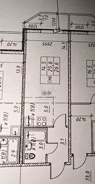 Студия Санкт-Петербург пос. Парголово, Заречная ул., 11к6 (26.6 м)
