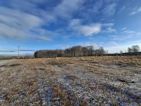 Участок в Свердловская область, Сысертский муниципальный округ, с. ...