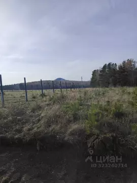 Участок в Красноярский край, Сосновоборский муниципальный округ, д. ...