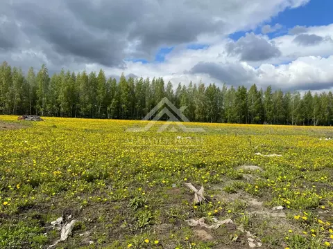 Участок в Татарстан, Лаишевский район, Егорьевское с/пос, д. Пальцовка ...