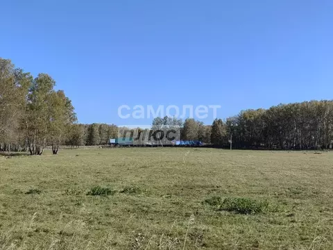 Участок в Челябинская область, Аргаяшский муниципальный округ, ...