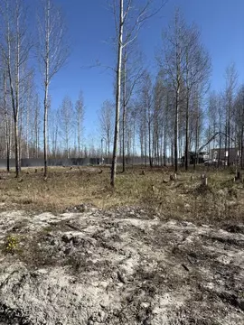 Участок в Санкт-Петербург, Санкт-Петербург, Павловск Павлов Скай кп, ...