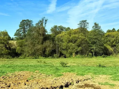 Участок в Московская область, Домодедово городской округ, пос. ...