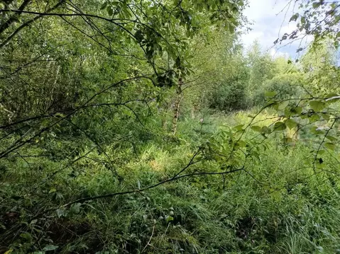 Участок в Московская область, Воскресенск городской округ, д. Бочевино ...