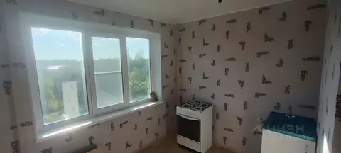 1-к кв. Ленинградская область, Гатчинский муниципальный округ, ...