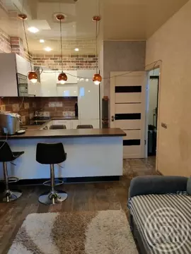 1-к кв. Ленинградская область, Ломоносовский район, Аннинское ...