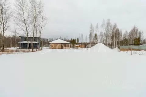 Участок в Тюменская область, Тюмень ул. Рублевская (6.1 сот.)