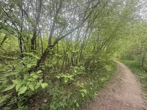 Участок в Московская область, Подольск городской округ, пос. Быково ...