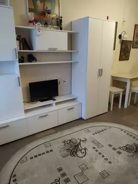 Студия Псковская область, Псков Техническая ул., 14 (23.2 м)