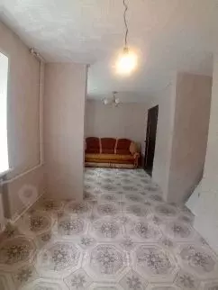 1-к кв. Татарстан, Менделеевск ул. Пушкина, 3 (26.0 м)