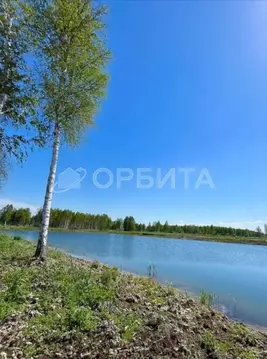 Участок в Тюменская область, Нижнетавдинский муниципальный округ, ...