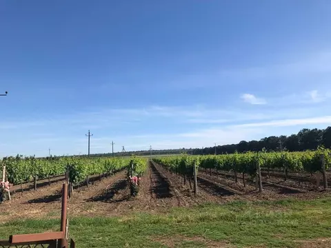 Дом в Краснодарский край, Темрюкский район, Краснострельское с/пос, ...