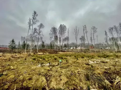 Участок в Ленинградская область, Всеволожский район, Токсовское ...