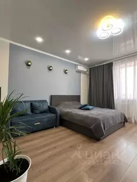 Студия Мордовия, Саранск ул. Победы, 22А (34.0 м)