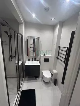 2-к кв. Новосибирская область, Новосибирск ул. Дуси Ковальчук, 248/1 ...