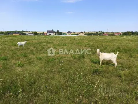 Участок в Липецкая область, Липецкий муниципальный округ, с. Троицкое ...