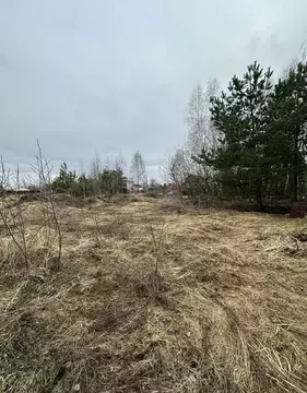Участок в Московская область, Ступино Весенняя ул. (8.0 сот.)