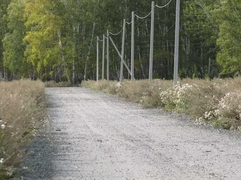 Участок в Омская область, Омский район, Пушкинское с/пос, д. ...
