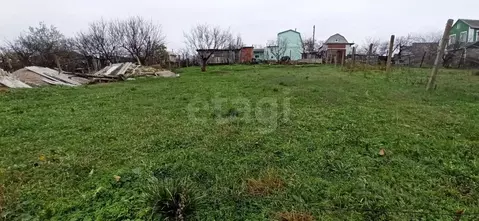 Участок в Крым, Феодосия муниципальный округ, Буревестник дп ул. ...