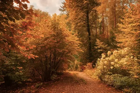 Участок в Московская область, Одинцовский городской округ, д. ...
