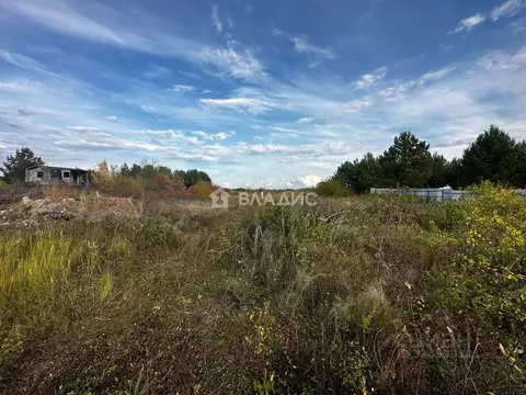 Участок в Татарстан, Нижнекамский район, Каенлинское с/пос, Березовая ...