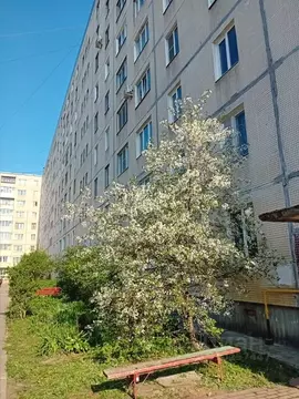 2-к кв. Ленинградская область, Всеволожск ул. Плоткина, 19 (51.0 м)
