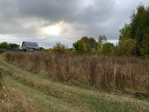 Участок в Владимирская область, Суздальский район, Селецкое ...