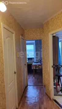 1-комнатная квартира: Петергоф, Чебышёвская улица, 2/13 (32.6 м)