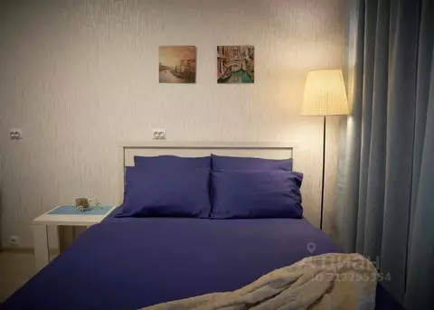 Студия Пермский край, Пермь ул. Революции, 52В (30.0 м)