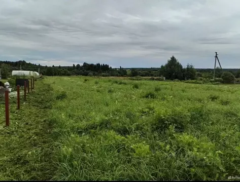 Участок в Вологодская область, д. Савкино (Сосновский сельсовет)  ...
