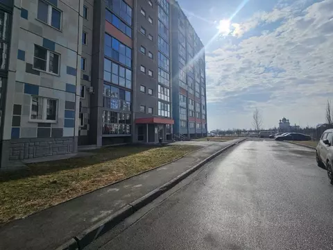 2-к кв. Челябинская область, Челябинск Новороссийская ул., 103А (48.4 ...