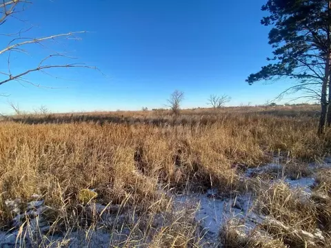 Участок в Амурская область, Благовещенский район, с. Владимировка  ...